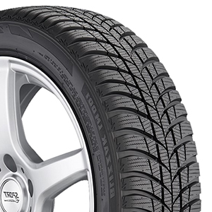 Bridgestone Blizzak LM-500